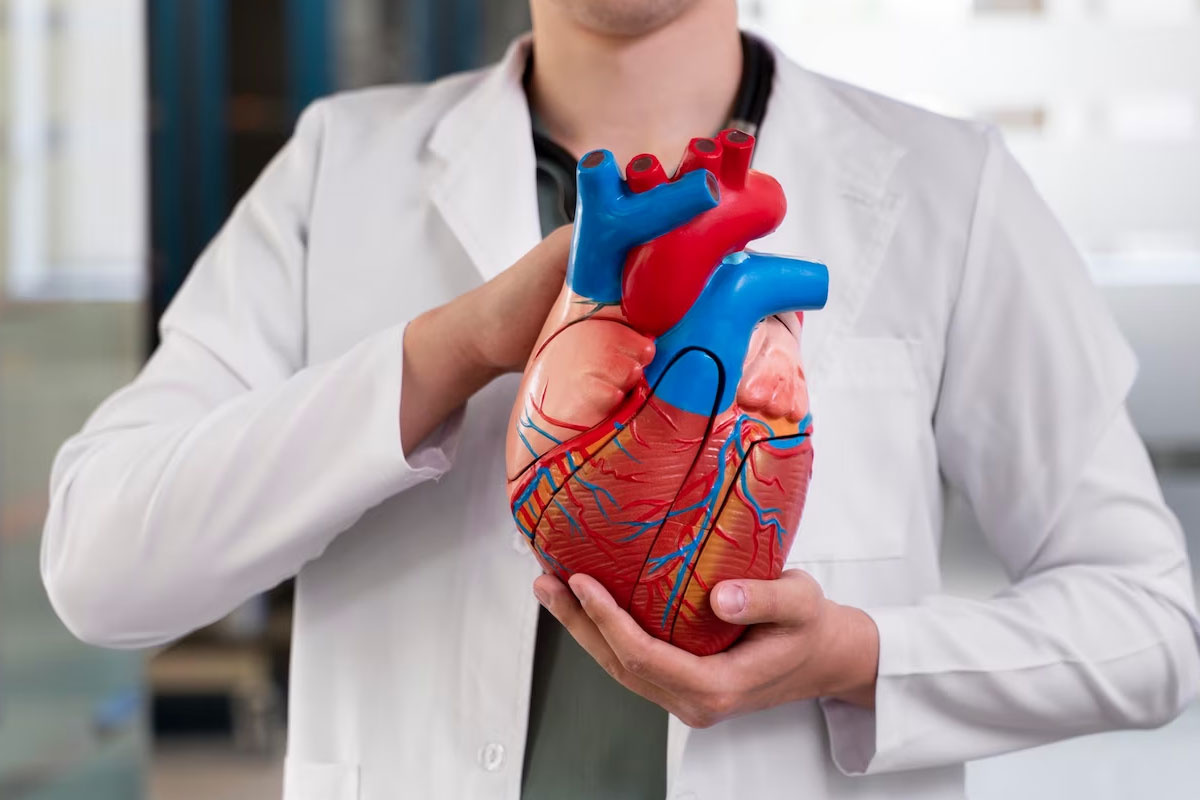 Cardiology