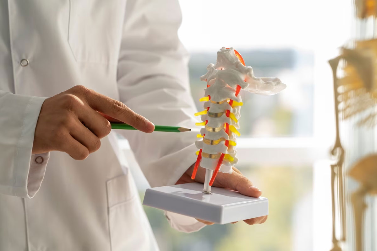 Orthopaedics